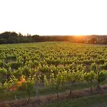 Nocleg ze śniadaniem Chateau-lestange Quinsac (Gironde)