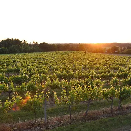 住宿加早餐酒店 Chateau-lestange Quinsac (Gironde)