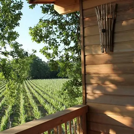 Chateau-lestange *