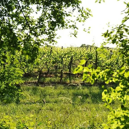 Couette-café Chateau-lestange Quinsac (Gironde)