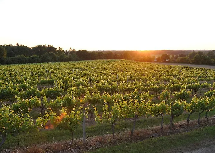 Oda ve Kahvaltı Chateau-lestange Quinsac (Gironde)