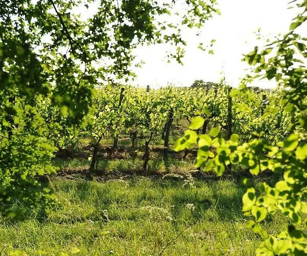Oda ve Kahvaltı Chateau-lestange Quinsac (Gironde)