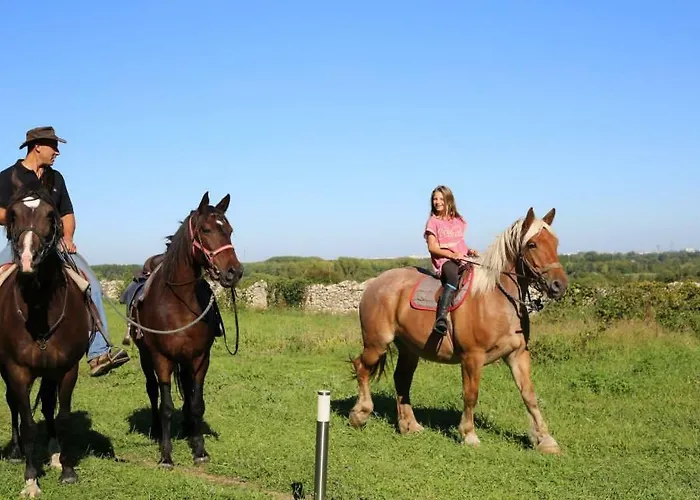 Chateau-lestange Oda ve Kahvaltı Quinsac (Gironde)